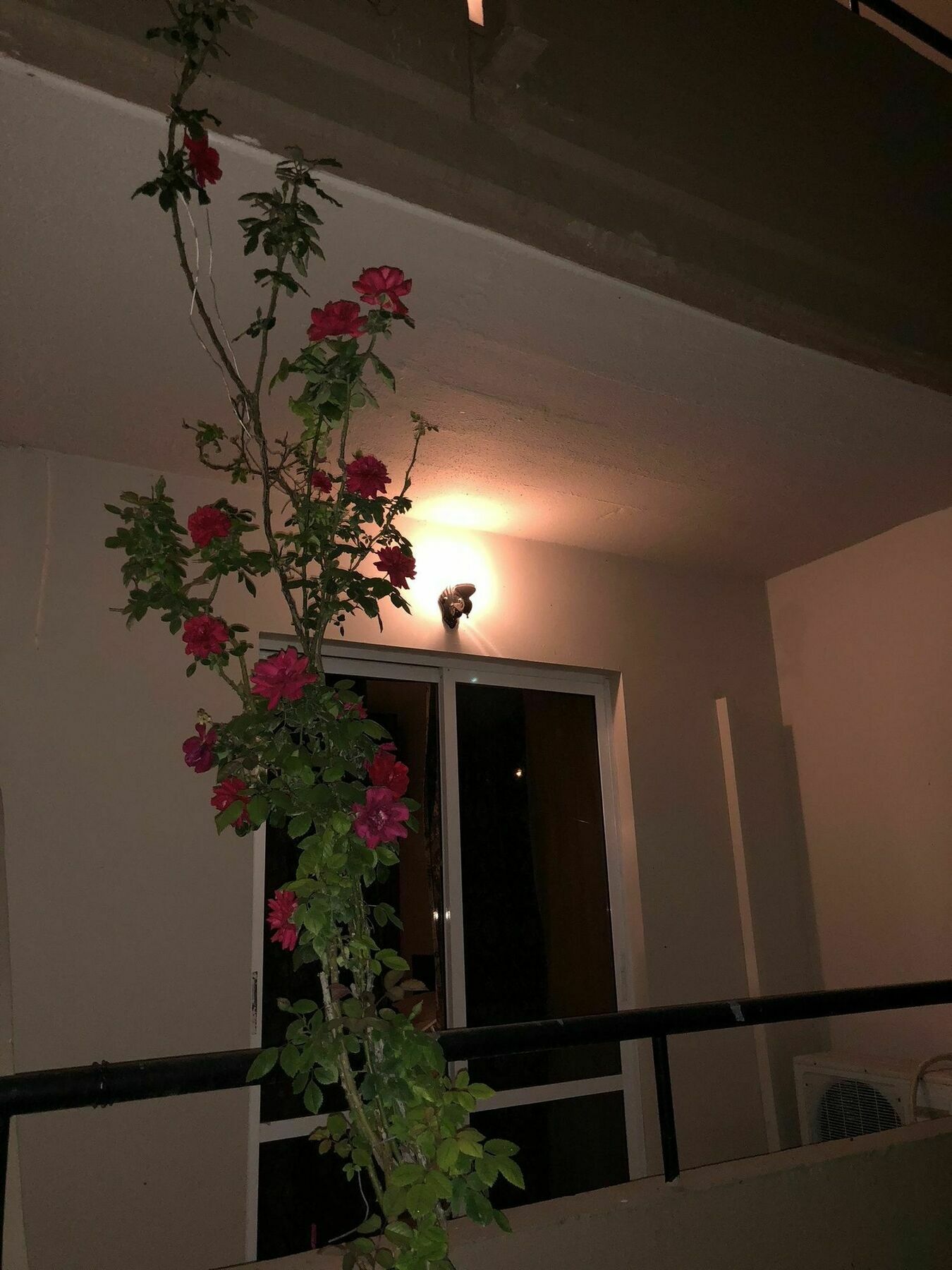 Jimmy'S Garden Hotell Faliraki Eksteriør bilde